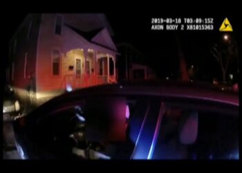 Traffic Stop Arrests